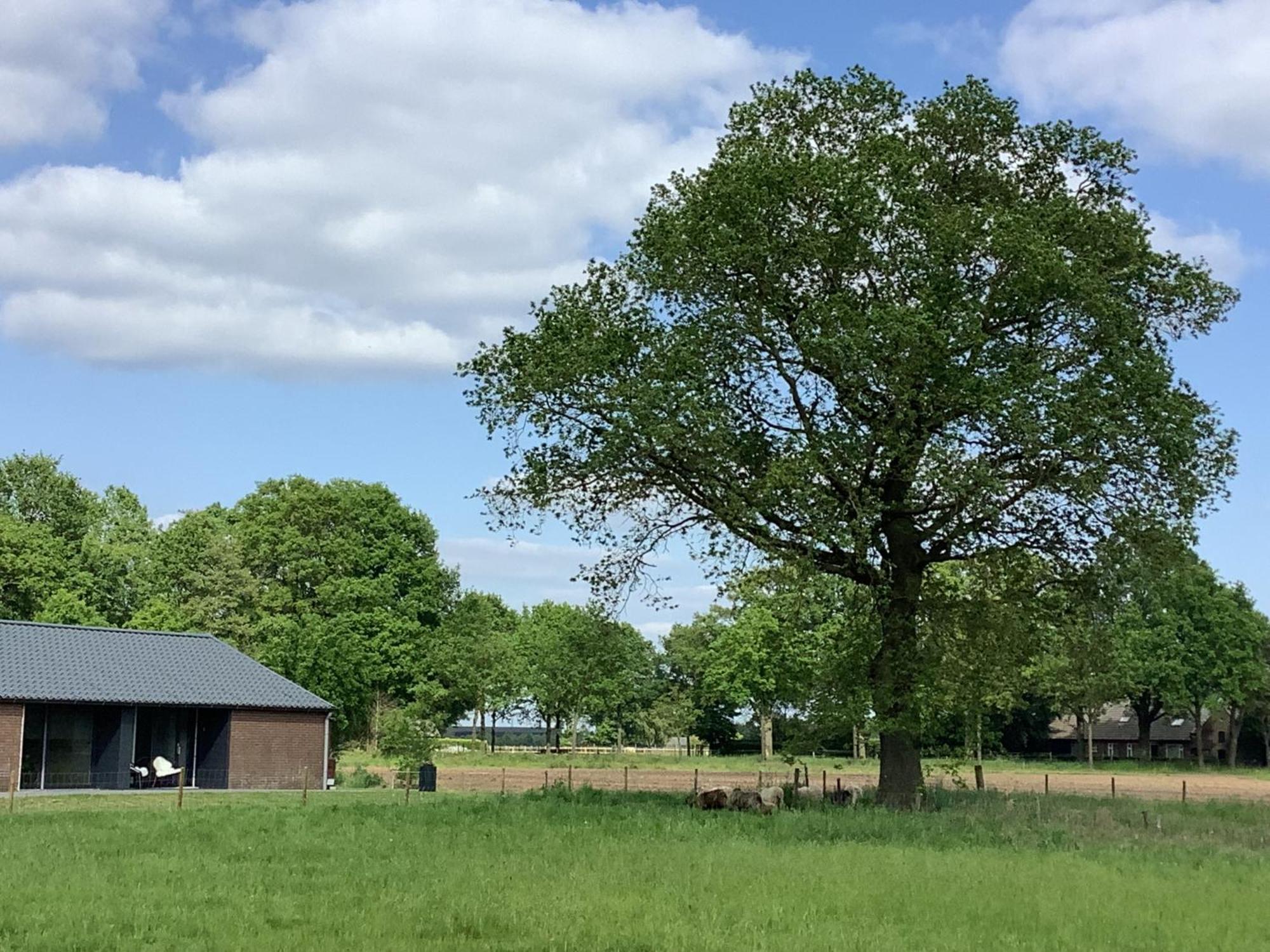 Gastenverblijf Dalem Met Hottub En Landelijk Villa Hapert Exterior photo